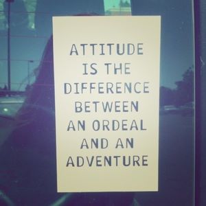 Meet your Posher, Rose 🌹