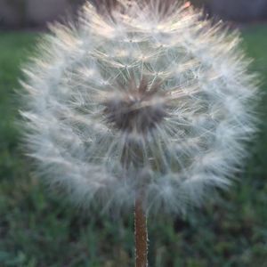 Meet your Posher, Vee