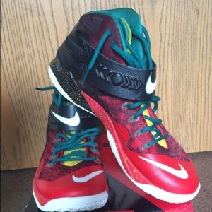 LeBron James shoes
