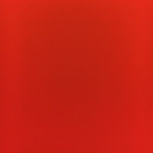 Meet your Posher, Ally