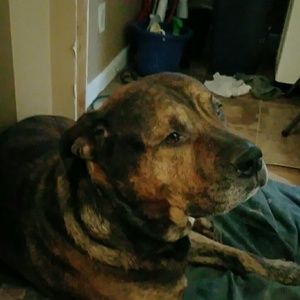 Meet your Posher, Allyson