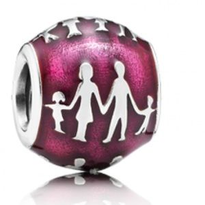 Pandora Family Bonds Charm