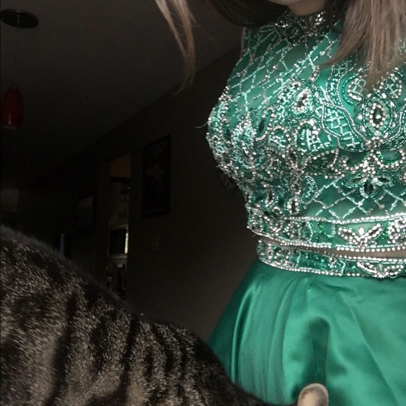 homecoming or junior prom dress - Picture 2 of 2