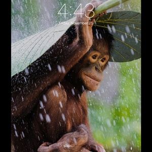 Meet your Posher, Suzanne