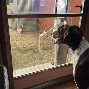 Meet your Posher, Caleb