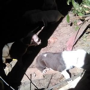 Meet your Posher, Jerry