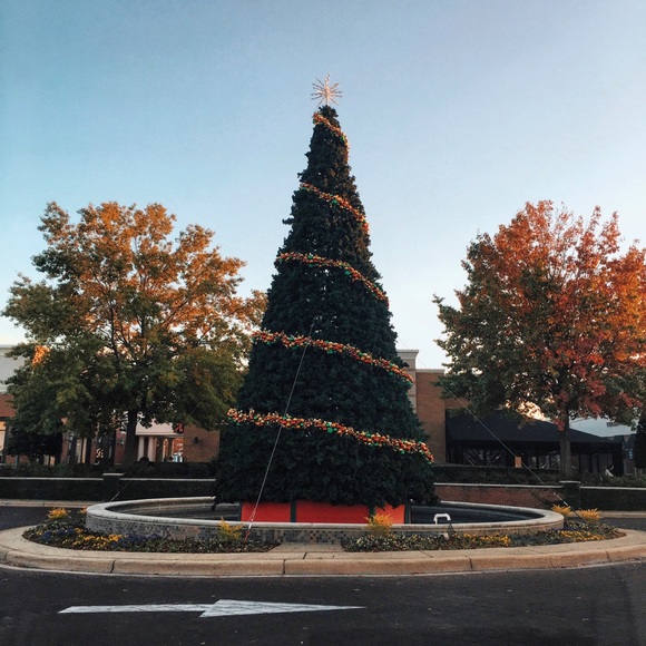 Meet your Posher, Soyun - Picture 1 of 1