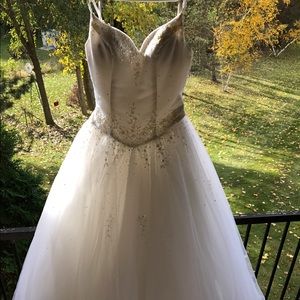 Gorgeous Alfred Angelo ball gown