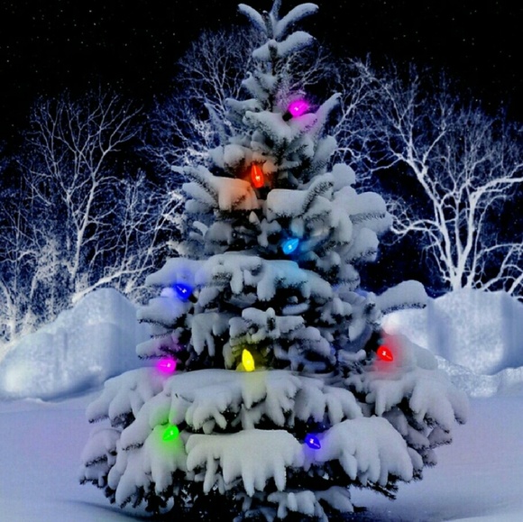 Meet your Posher, Lou - Picture 1 of 1