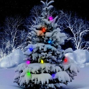 Meet your Posher, Lou