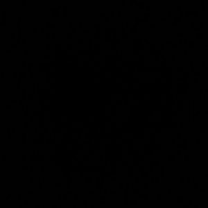 Meet your Posher, Dinora