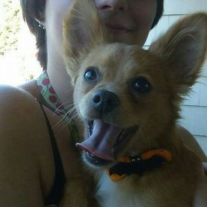 Meet your Posher, Karli