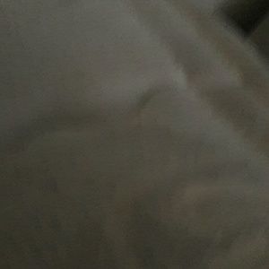 Meet your Posher, Bobby