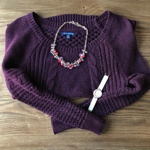 ✨FLASH SALE ✨Burgundy AEO Sweater