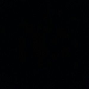 Meet your Posher, Jesus