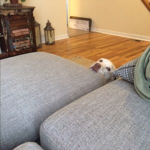 Meet your Posher, Josh