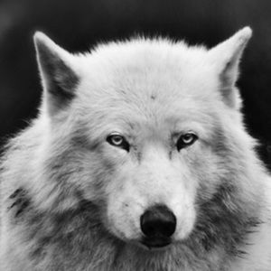 Meet your Posher, Fernando