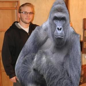 Meet your Posher, Owen