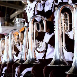 Meet your Posher, Avery