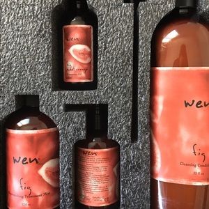 Wen haircair complete set in fig