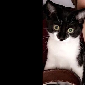 Meet your Posher, Kerri