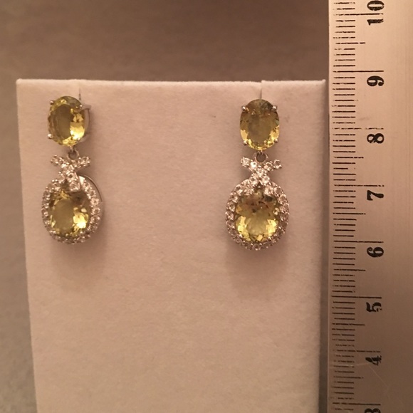 Drop Earrings - Picture 4 of 4