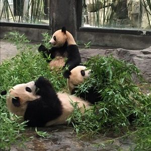 Meet your Posher, Jaime