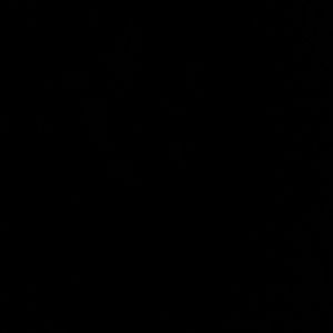 Meet your Posher, Yasmina