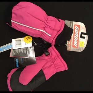 NWT Gordini Ski Mitts