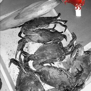 Meet your Posher, Joanna