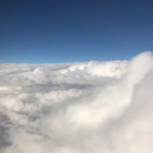 Meet your Posher, Abigail