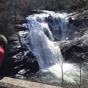 Meet your Posher, Tricia rob