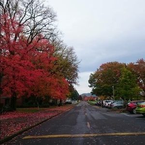 Meet your Posher, Alina