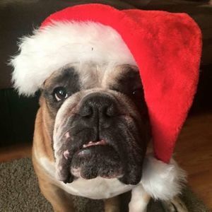 Meet your Posher, Gemma