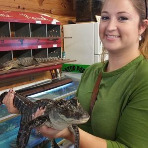 Meet your Posher, Katie