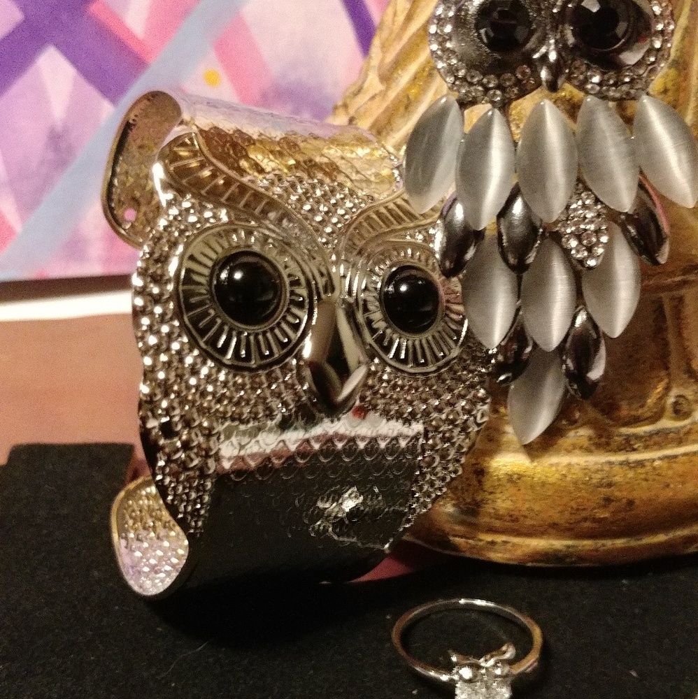 🆕  family silver owl set
