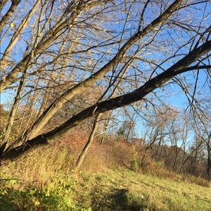 Meet your Posher, Kaitlin