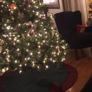 Meet your Posher, Julia