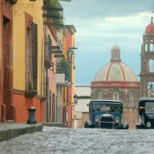 Meet your Posher, Lucy