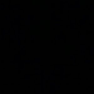 Meet your Posher, Duryea