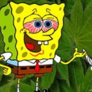 Meet your Posher, Vinnie