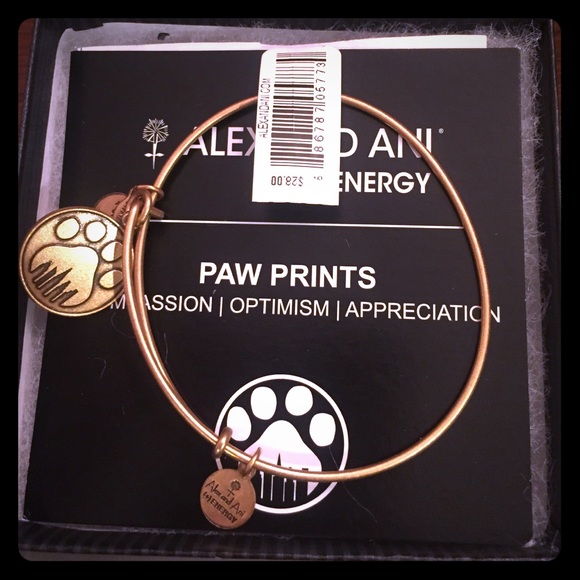 Alex and Ani bracelet