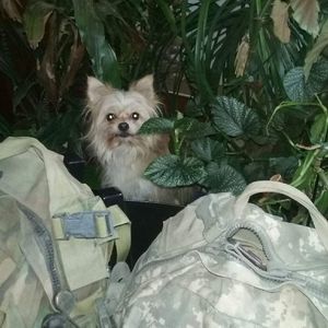 Meet your Posher, Debbie