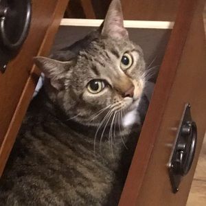 Meet your Posher, Caleb