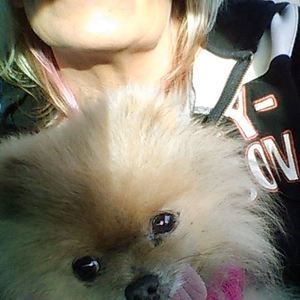 Meet your Posher, Tamara