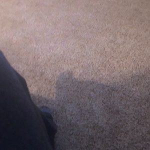 Meet your Posher, Malali