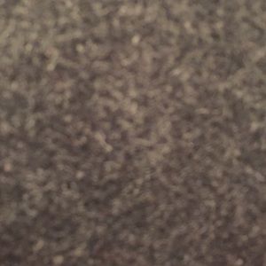 Meet your Posher, Leighton