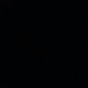 Meet your Posher, Dee