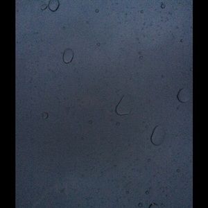 Meet your Posher, Allie