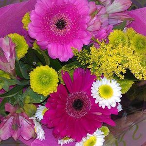 Meet your Posher, Vicki